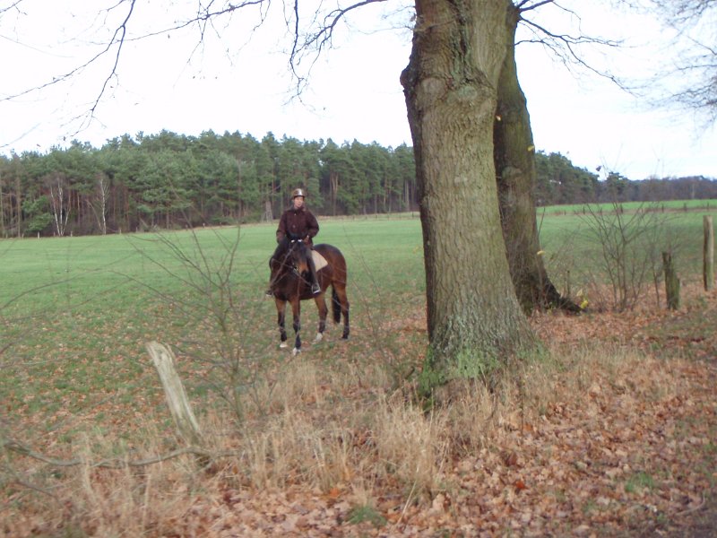 CTF Celle 152